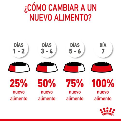195 g Royal Canin Starter Mommy & Baby mousse latas para perros, , large indicador imagen numero 6